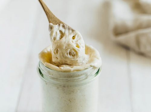Shushi- Dehydrated Sourdough Starter