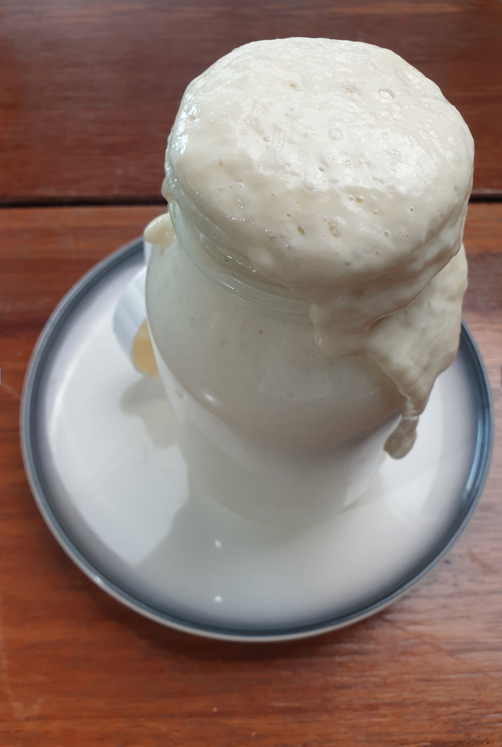 Shushi- Dehydrated Sourdough Starter